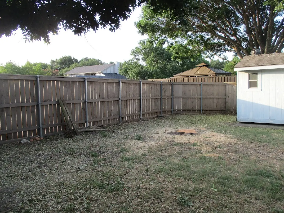 Cleared yard after professional tree removal in Winthrop