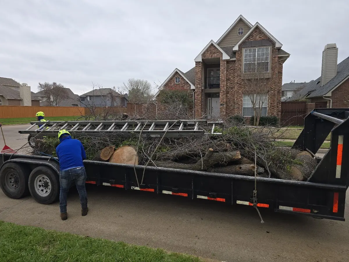 Expert Tree Removal with proper safety equipment in Winthrop